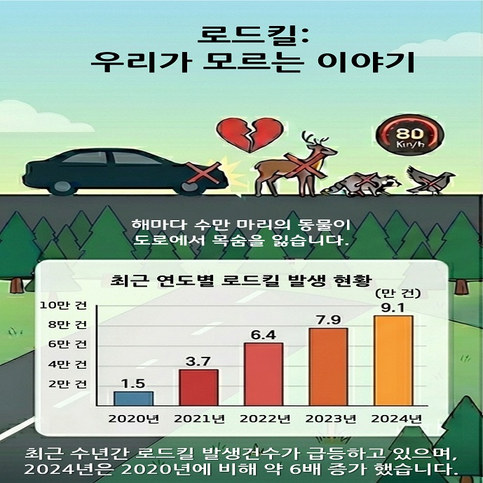로드킬: 우리가 모르는 이야기
해마다 수만 마리의 동물이 도로에서 목숨을 잃습니다
최근 연도별 로드킬발생 현황
2020년 1.5만 건
2021년 3.7만 건
2022년 6.4만 건
2023년 7.9만 건
2024년 9.1만 건
최근 수년간 로드킬발생건수가 급등하고 있으며, 2024년은 2020년에 비해 약 6배 증가 했습니다.